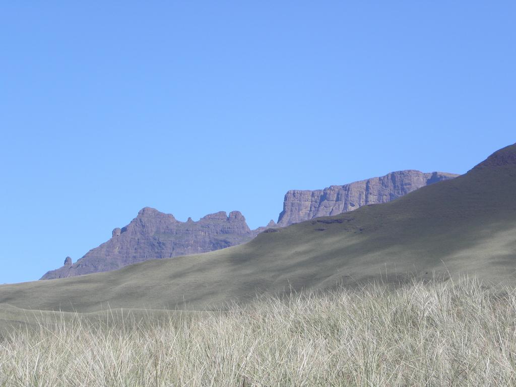 Little Acres Drakensberg Accommodation Champagne Valley Exterior foto